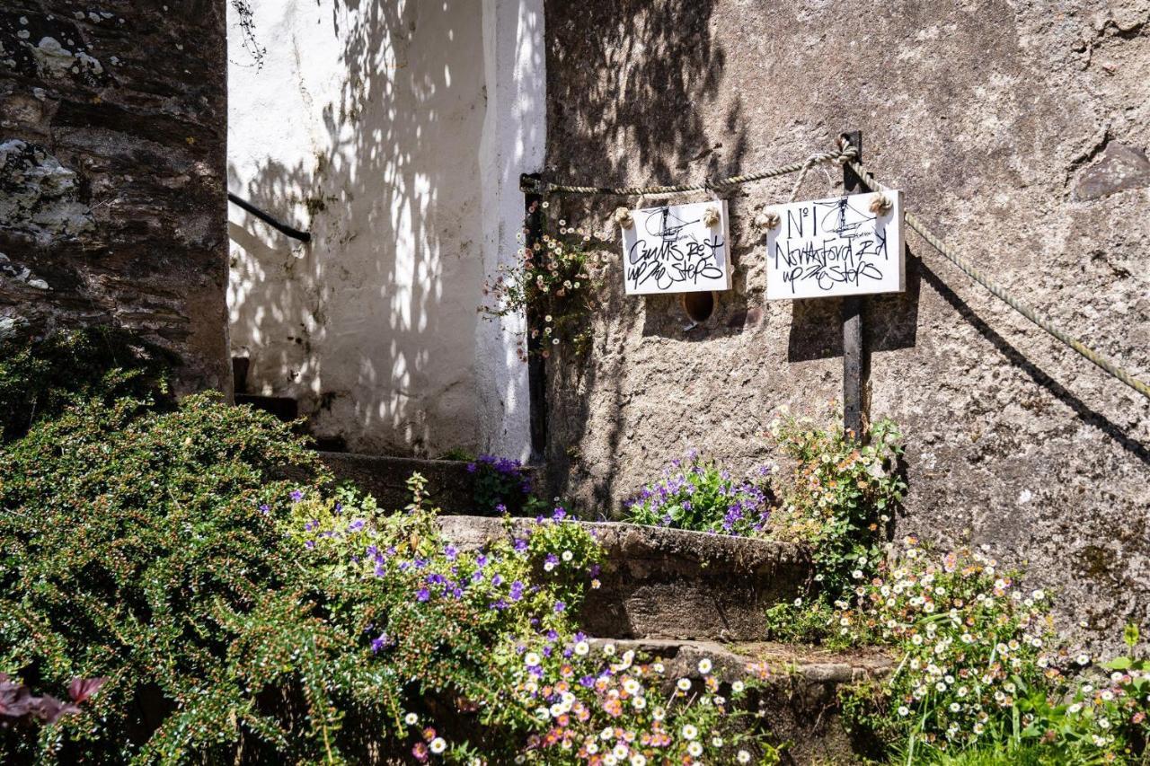 Gulls Rest - Charming Cottage In The Heart Of Historic Dartmouth Esterno foto